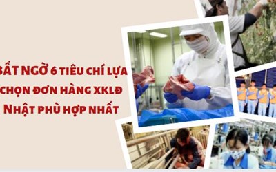 BẤT NGỜ 6 tiêu chí lựa chọn đơn hàng XKLĐ Nhật phù hợp nhất