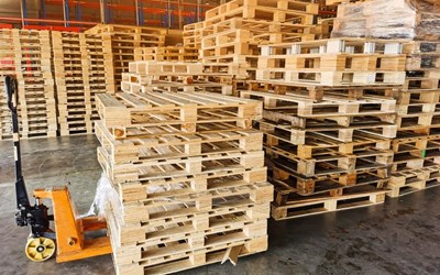 TUYỂN 30 NAM/NỮ SẢN XUẤT PALLET TẠI HUNGARY