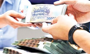 Hỗ trợ từ chính phủ Việt Nam cho xuất khẩu lao động năm 2025